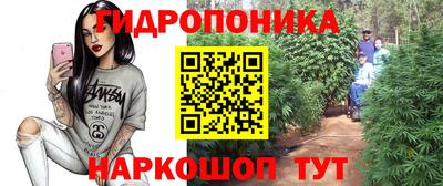 бошки Тара