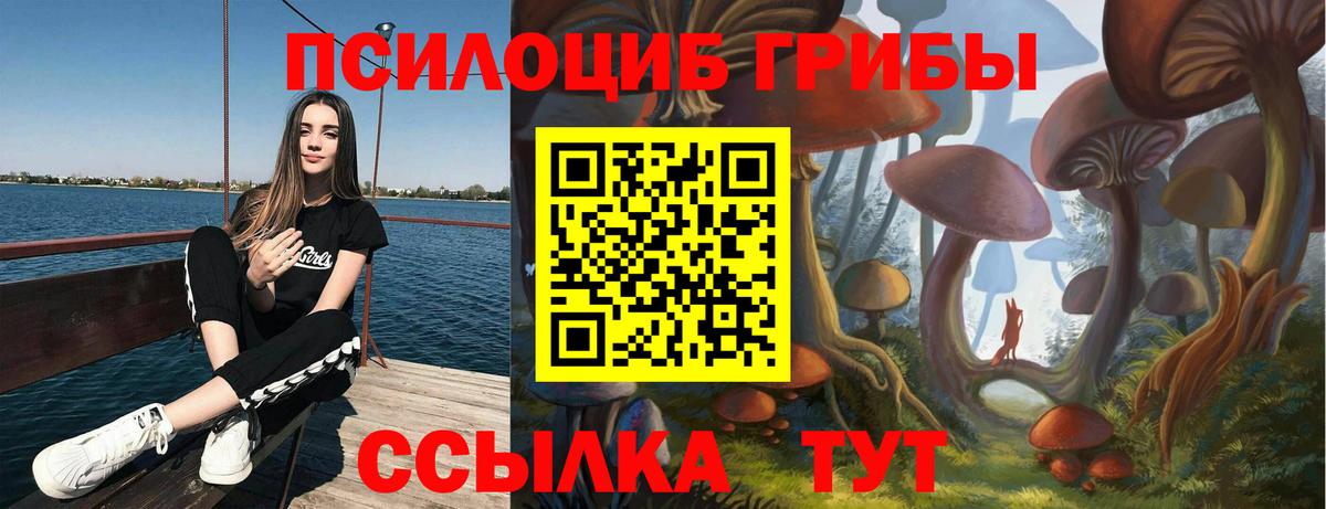 Псилоцибиновые грибы GOLDEN TEACHER  Вход с VPN  Нарткала 